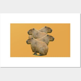 Capybara Stack Posters and Art